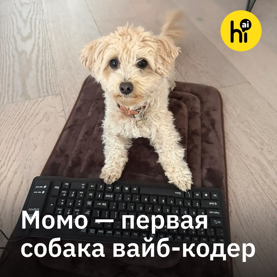 😎 Программист научил собаку вайб-кодить игры